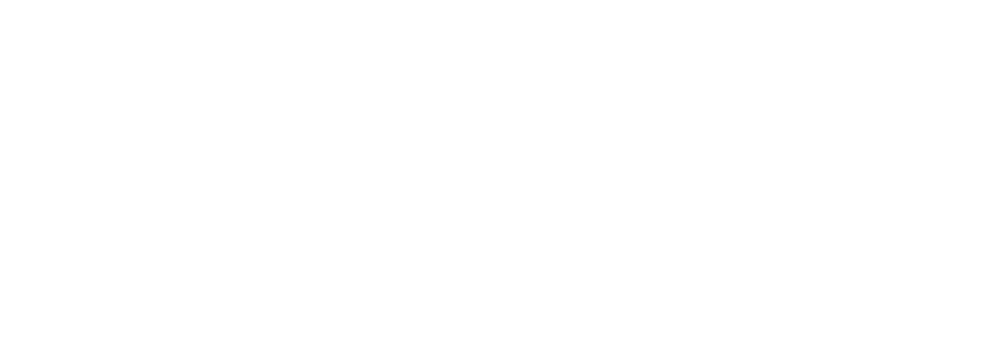 Sai Nysa Hospital Logo